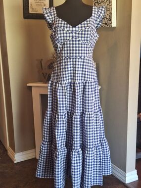 Farm Girl Kate Spade Blue and White Gingham Ruffle Dress Sz 8